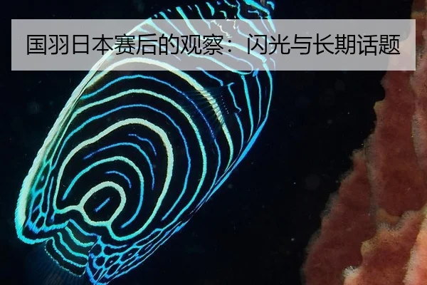 国羽日本赛后的观察：闪光与长期话题